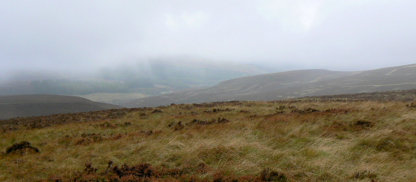 Goyt's Moss Goyt's Moss